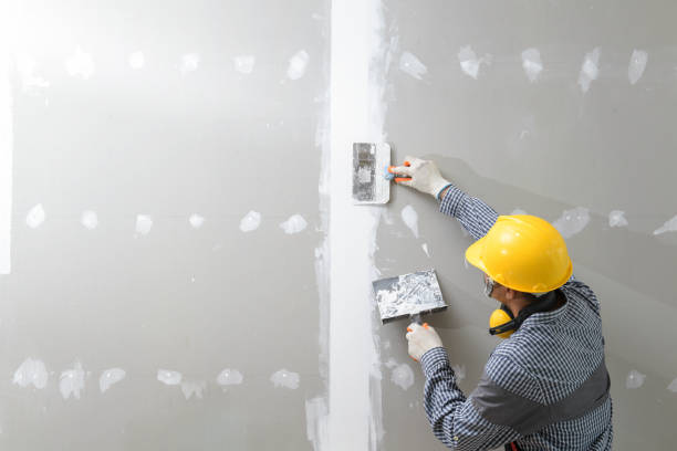 Best Post-Construction Mold Inspection  in Del Rio, TX